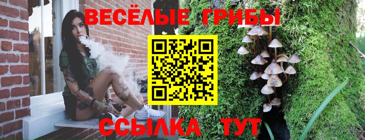 Псилоцибиновые грибы мицелий Алатырь